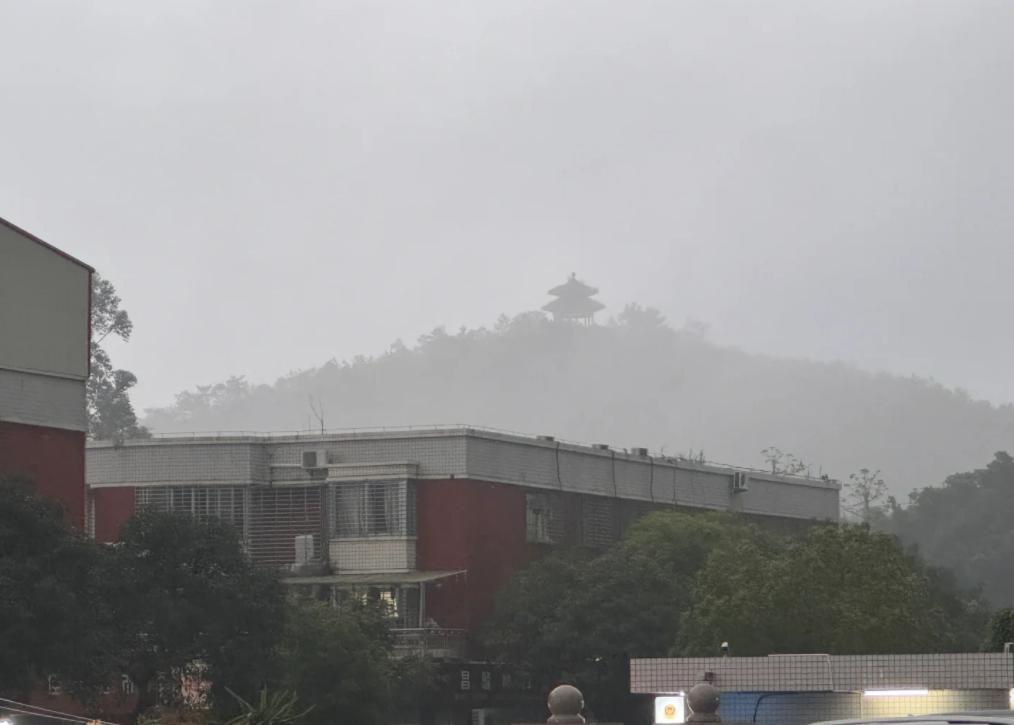27岁女逃犯悬赏8万引深思
亲爱的朋友们大家好，我是海林小百科，今天我们来看看年