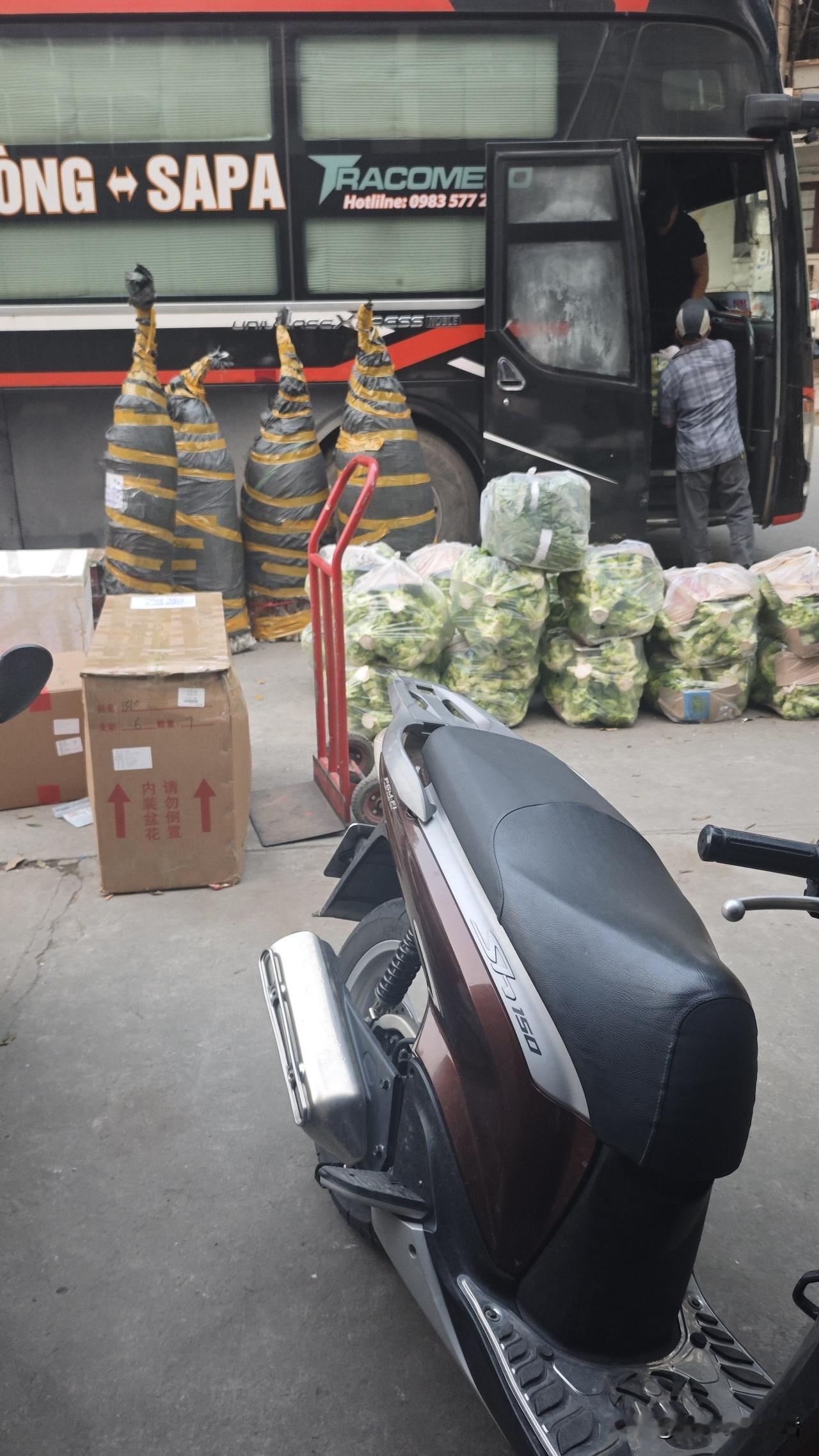 快到春节了，越南的大巴车也迎来了好生意，不过有点“不务正业”，不是拉的人，而是拉