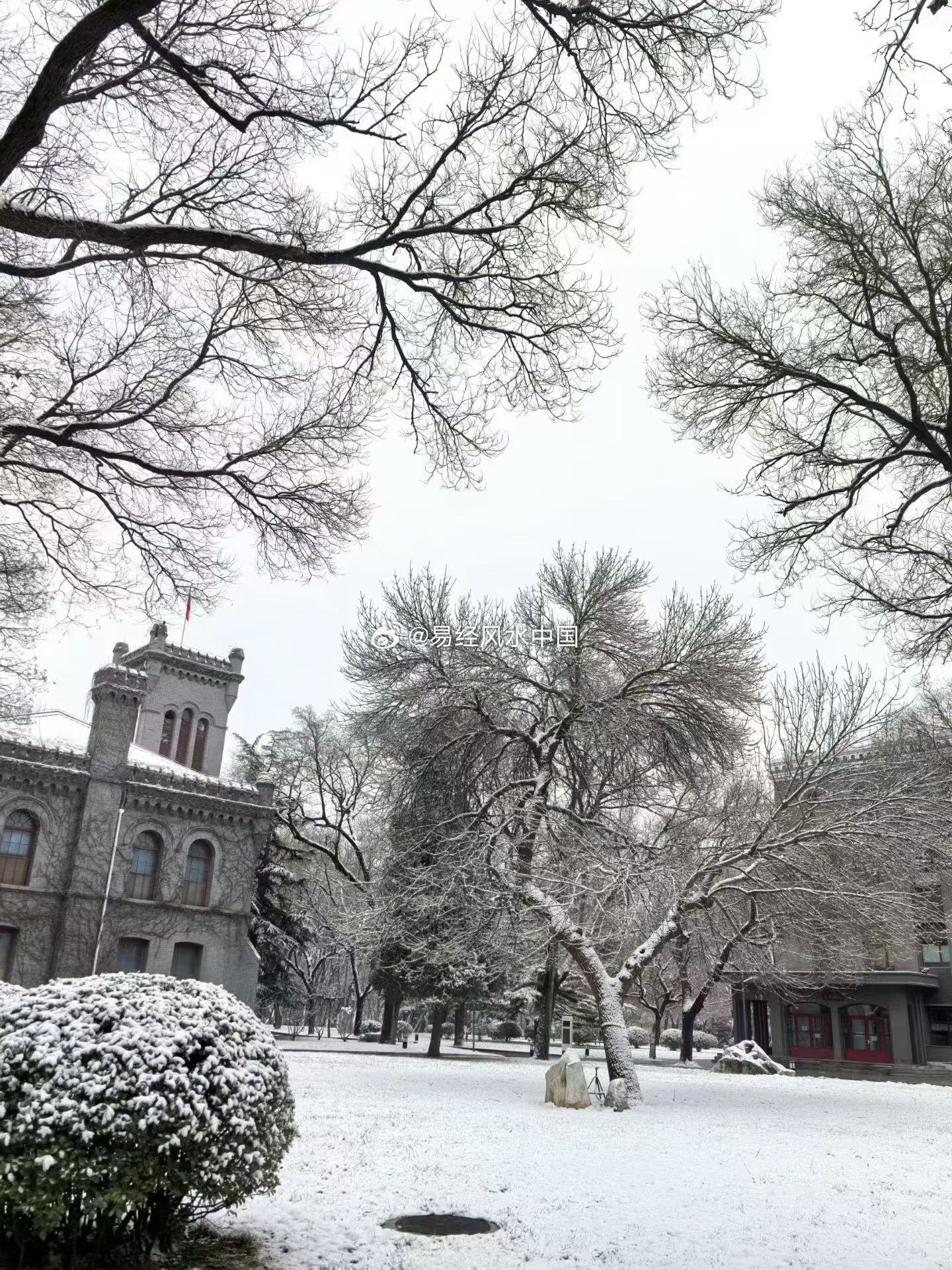 今日老黄历：公历2026年3月5日，星期四，农历正月十七 （丙午年庚寅月戊寅日）