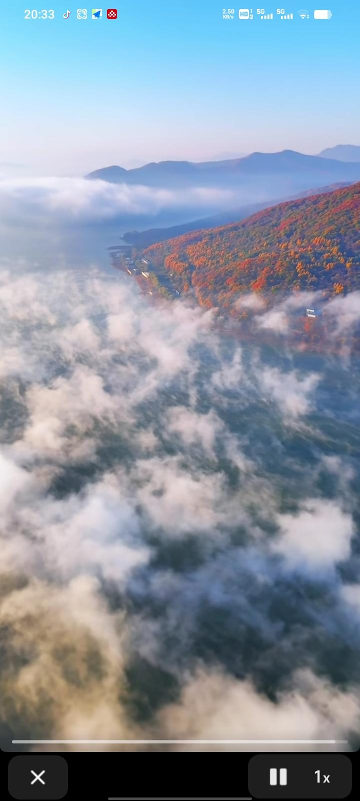 分享今日的人生感悟对于高市，一切语言都是苍白的，行动才是最好的表达方式。