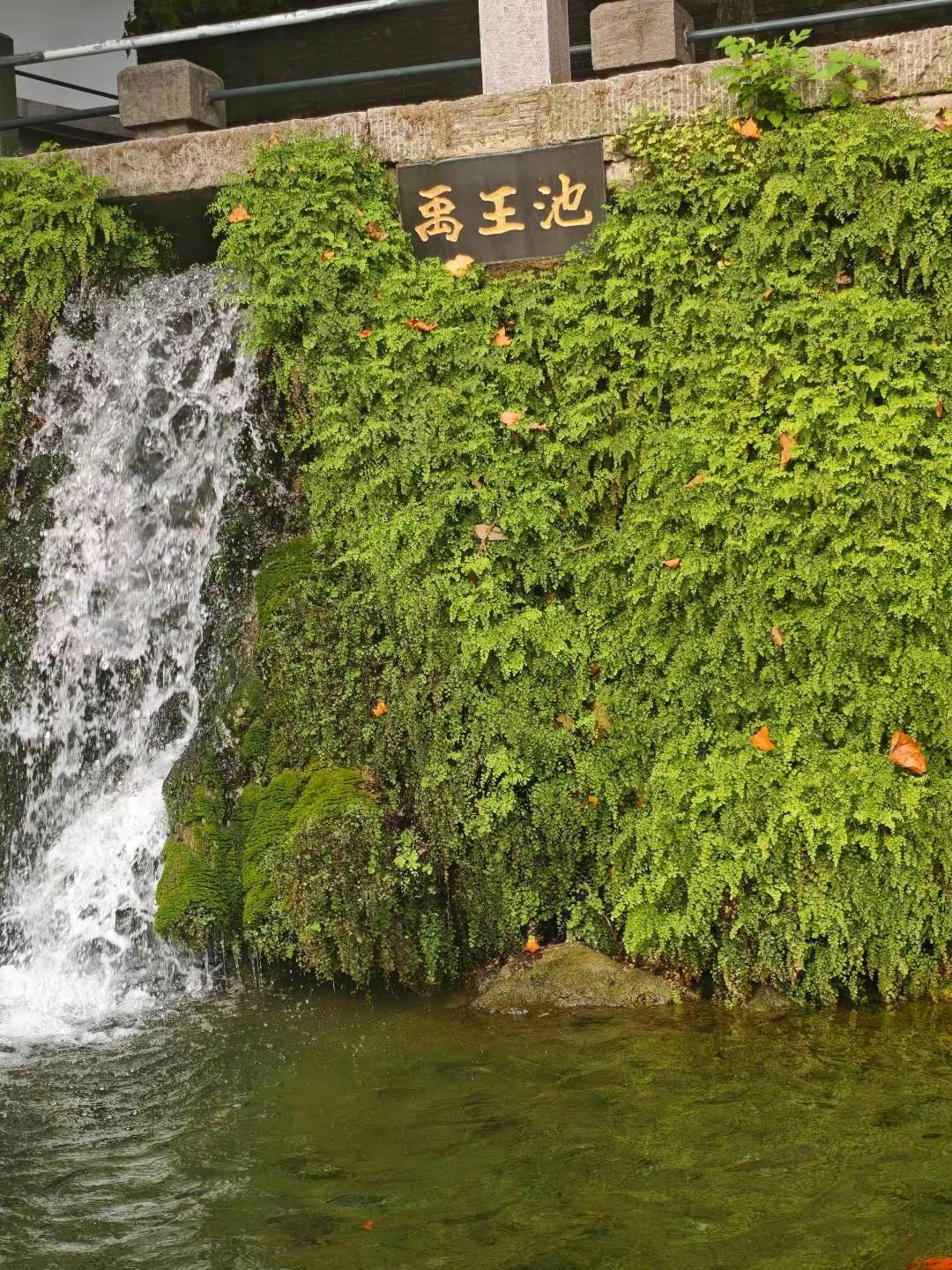 累了回故乡