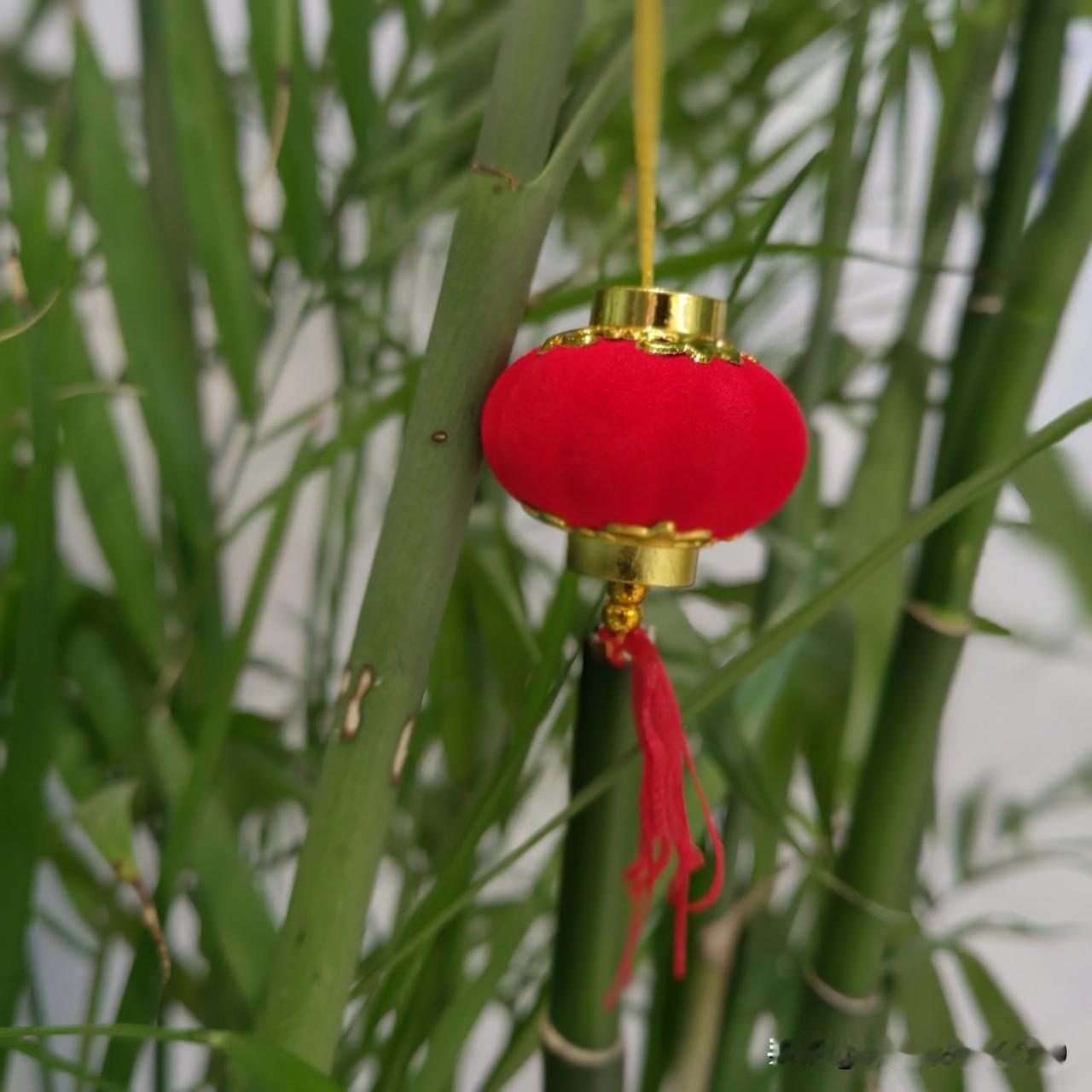 烟花爆竹声声响！就是晴天一个，没有雾霾。谢谢专家们！