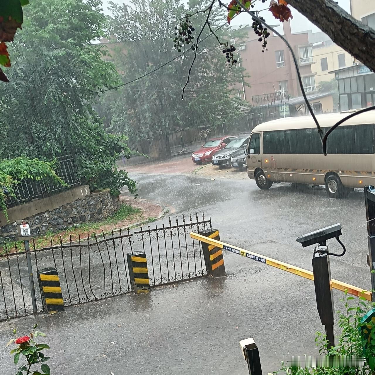 大连迎来久违大雨，
降温与利弊都来了…

大连迎来一场酣畅的大雨，不少地方路面已