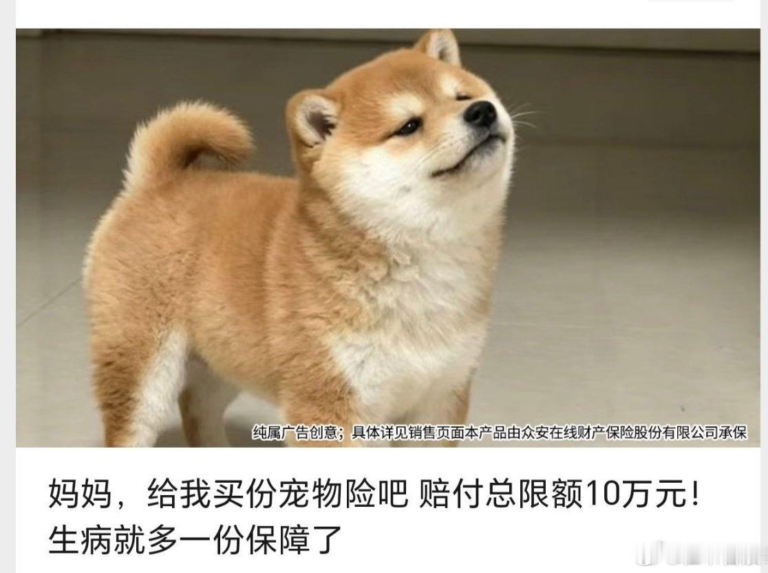 是人养狗，人是狗的主人，不是狗的妈妈，狗是狗它妈生的，人是人他妈生的！！！ 