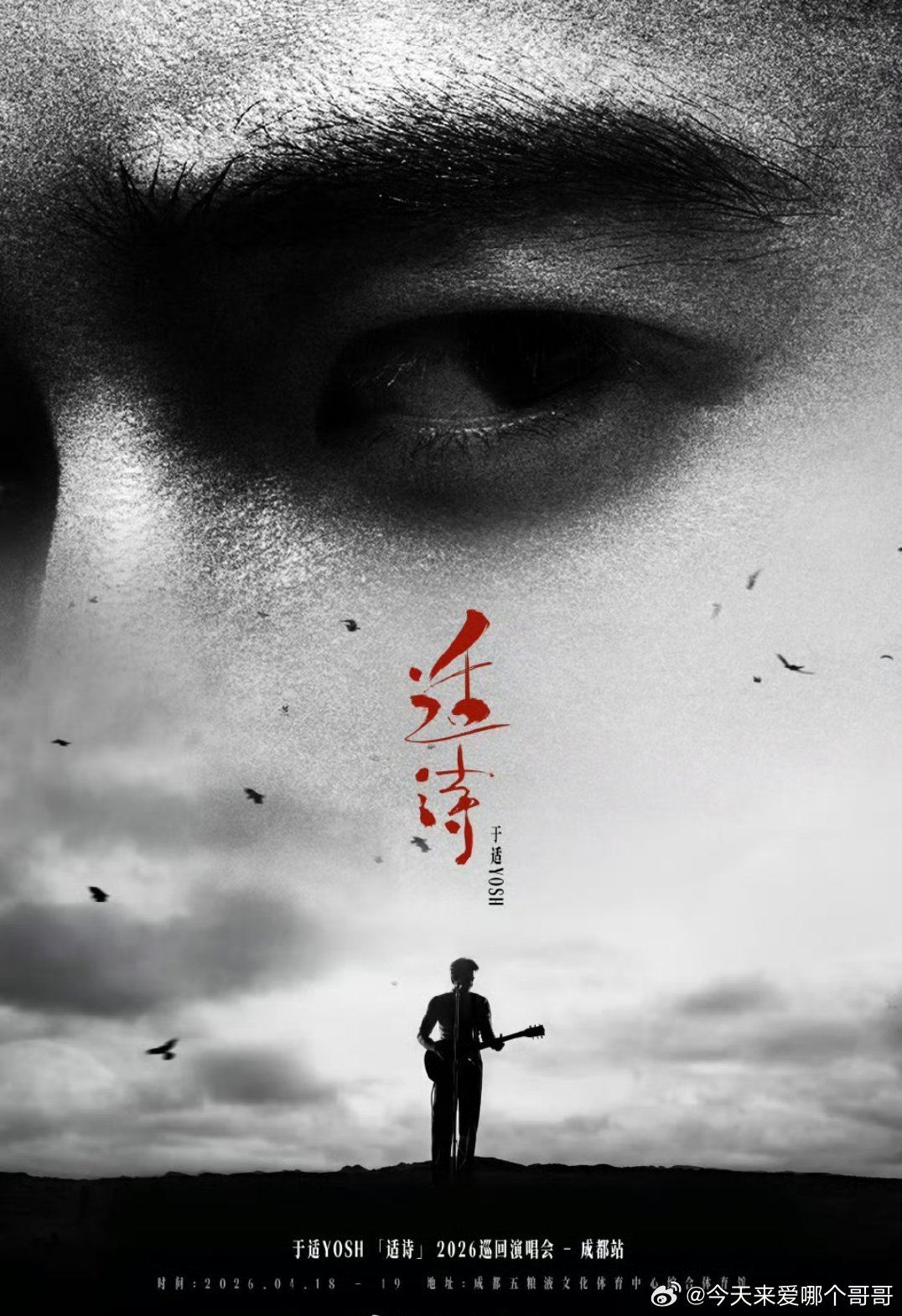 于适2026成都演唱会官宣 
