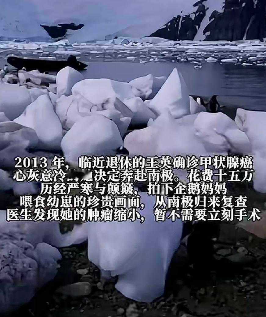 近日，云南。身患甲状腺癌67岁的鸟类生态摄影师王女士，花光了15万的积蓄赴南极旅