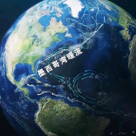 《如果墨西哥湾暖流停止流动会发生什么？》如果墨西哥湾暖流停止流动会发生什么？网页