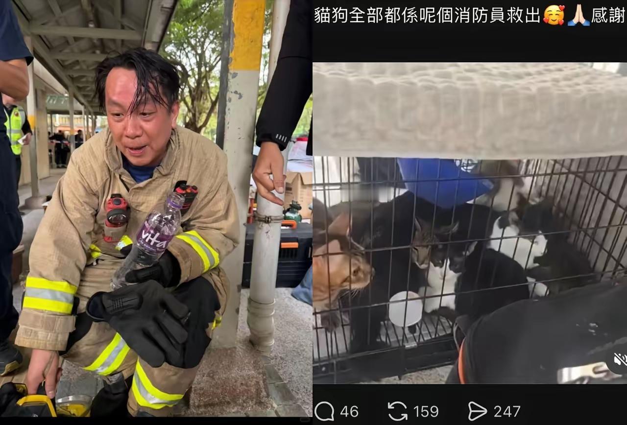 看到这一幕，

真让人无语，

楼里不知道有多少人等着救援，可是爱心泛滥的消防员