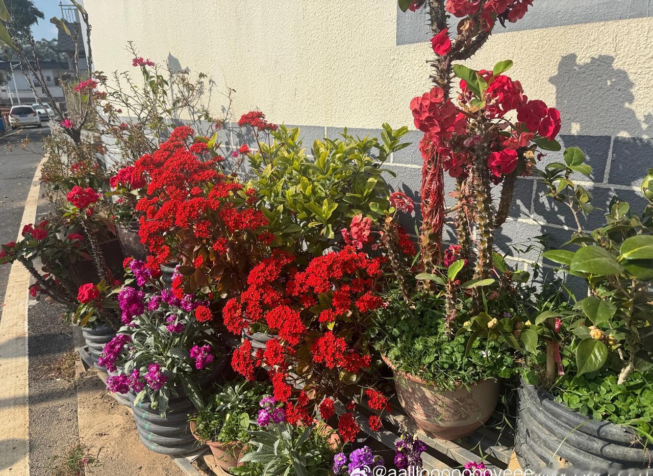 平静比爱重要多了
天气好就是天气好
不会因为 日出 日落 月圆 去想念谁
普通人