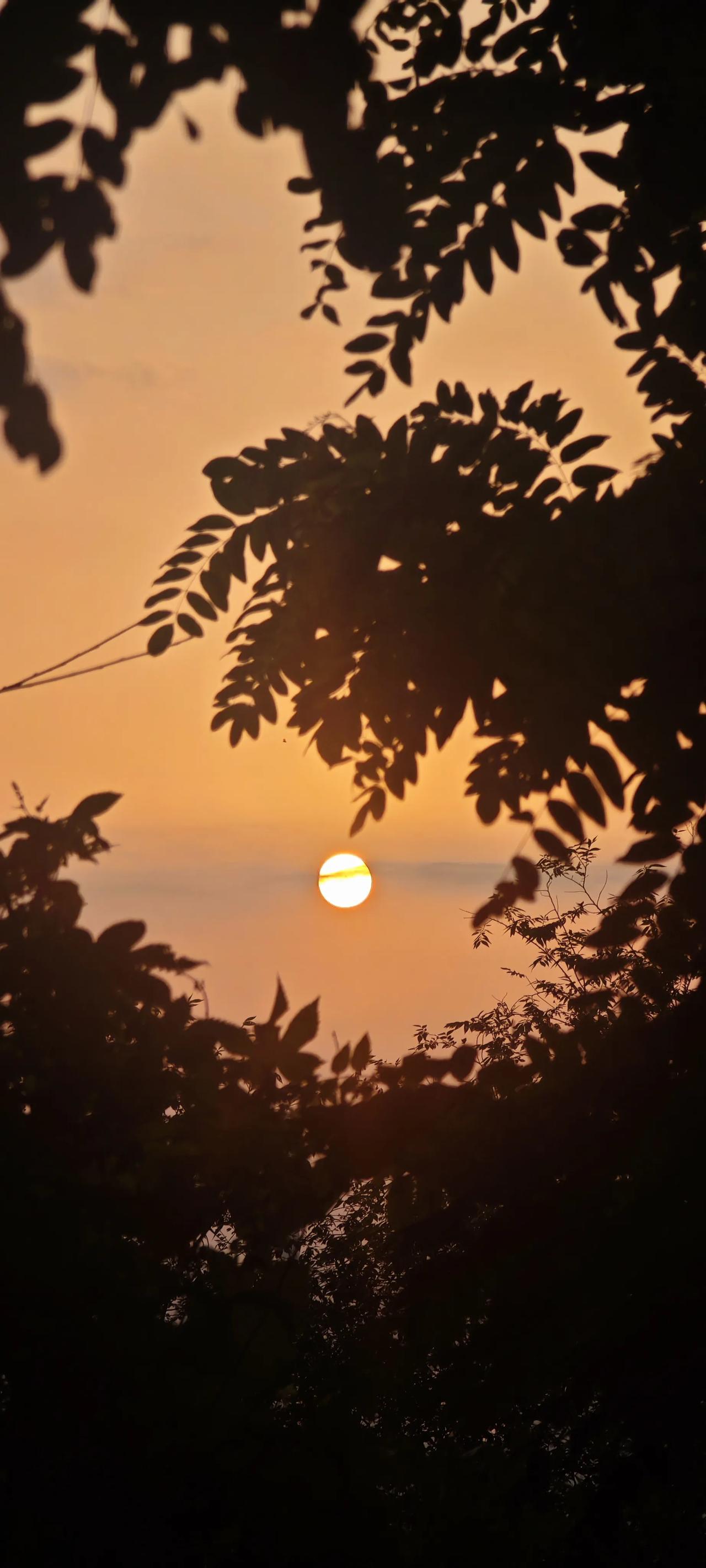 #分享一张你最近拍的夕阳照片#