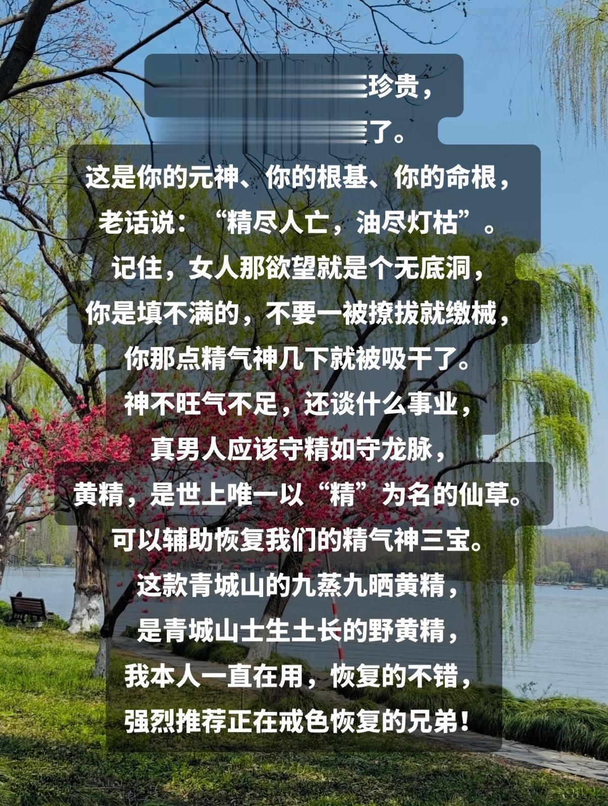 强烈推荐 黄精 戒色修心