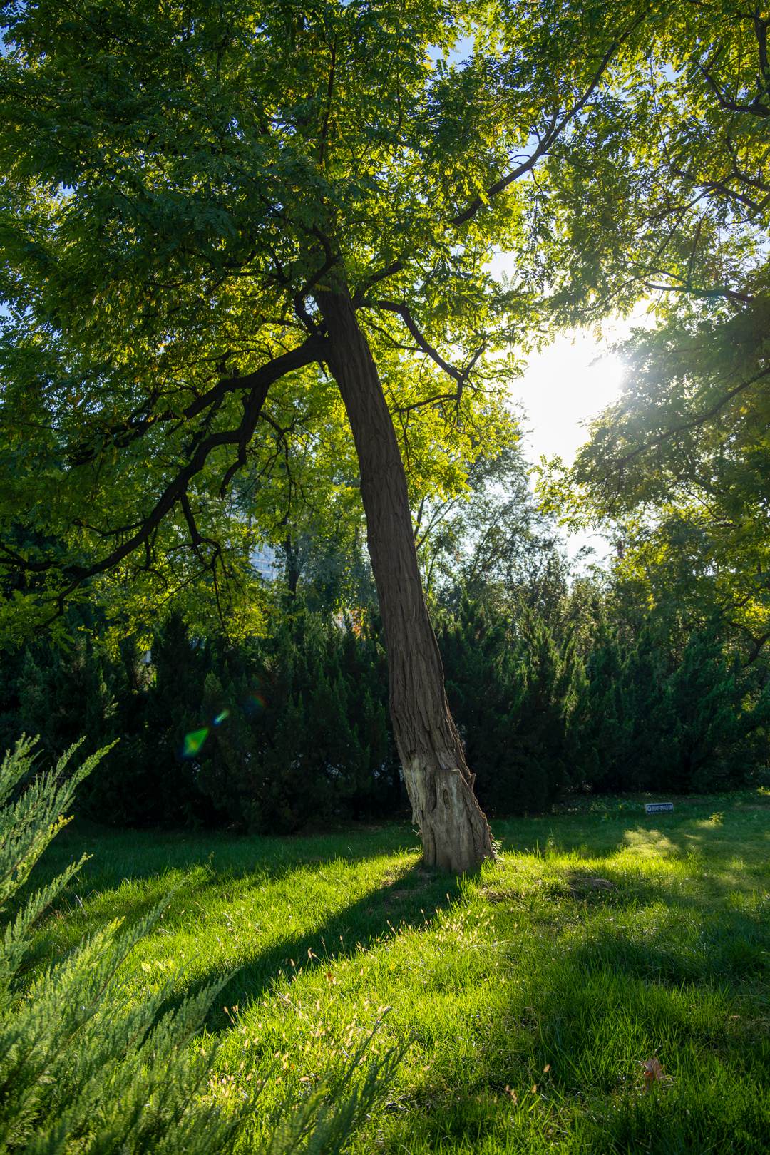 时光慢一点吧.......