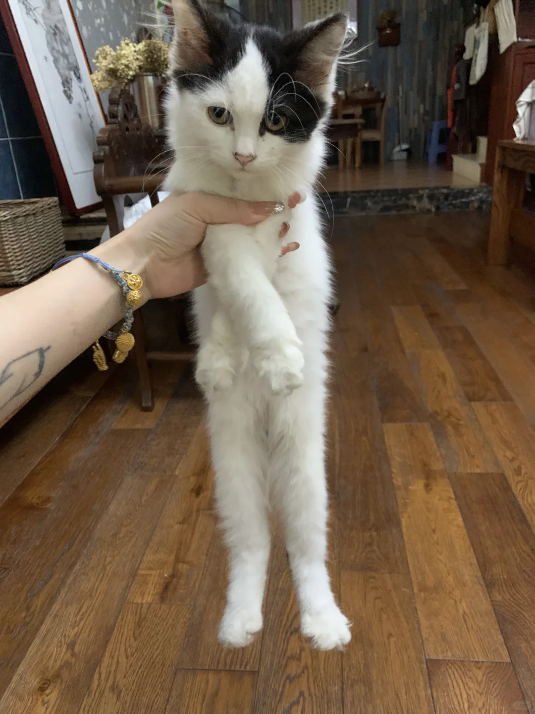 163 75 斤的状态