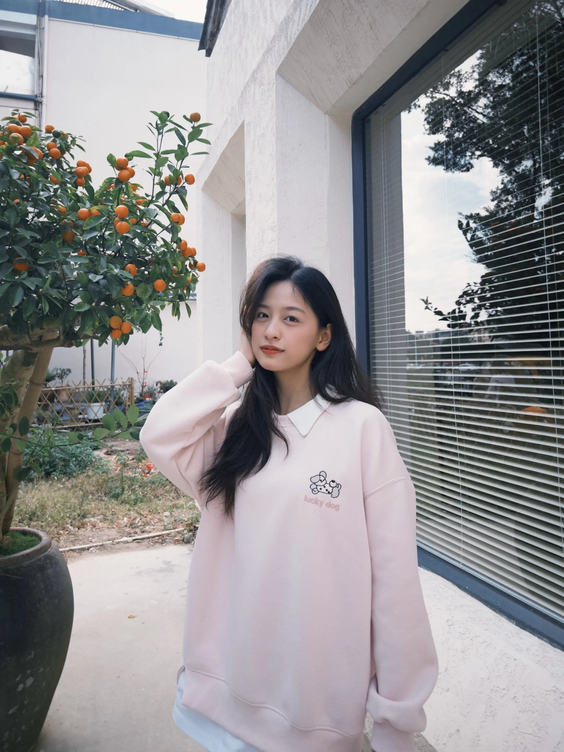 束一个马尾束起所有伤悲