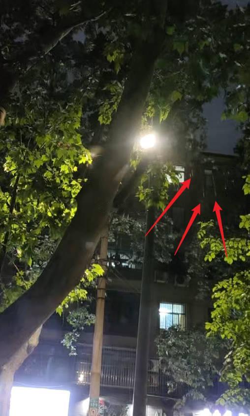 出门和不出门过的是两种人生   ？今天不适合出门街上的树掉毛掉渣，碰到傍晚的时候