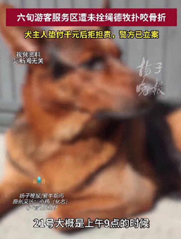 老人服务区散步，被德牧两次扑咬进ICU！狗主人起初承诺全权负责，得知手术费要两三