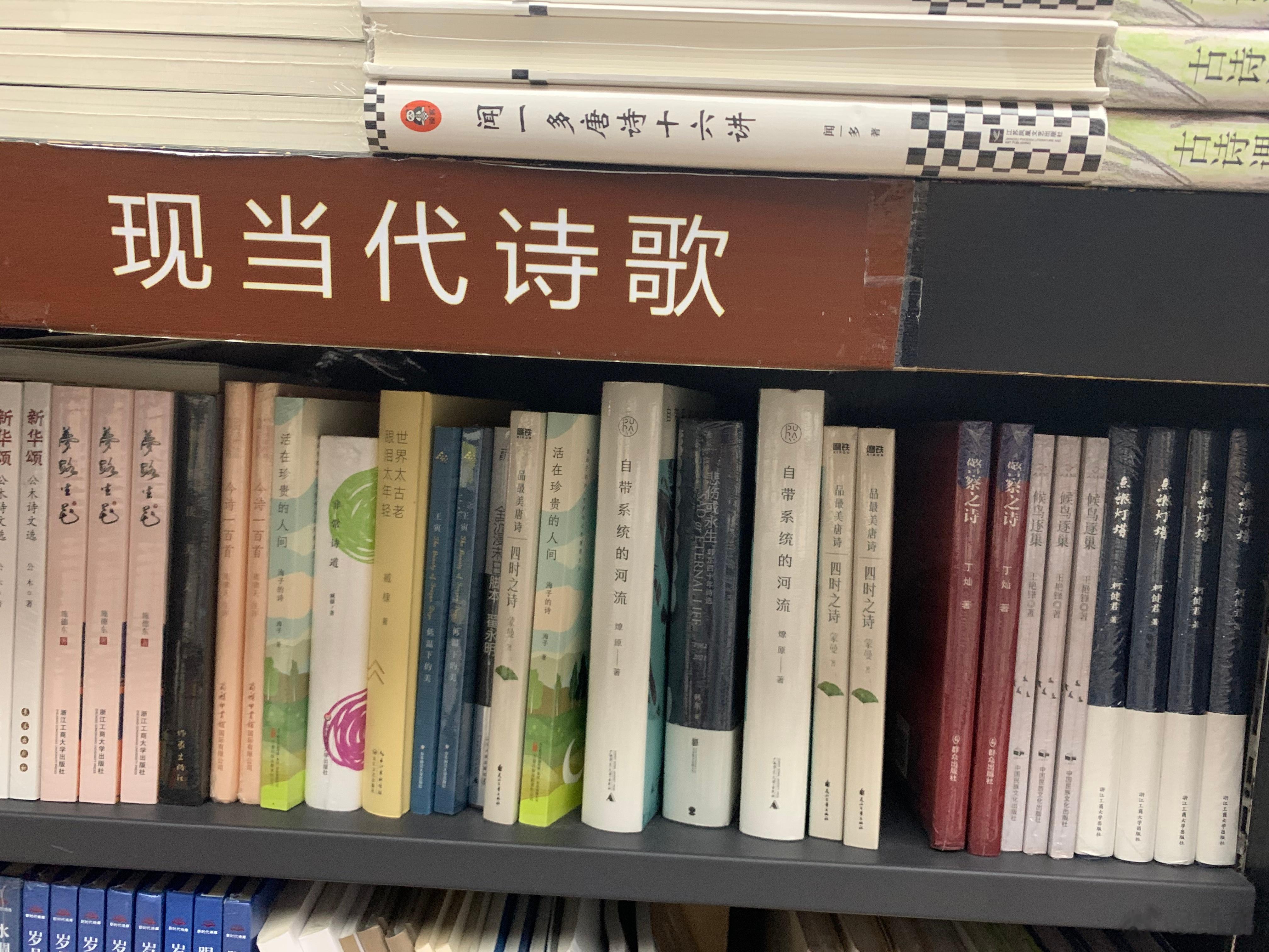 深圳南山书城现当代诗歌书架：臧棣、海子、王寅、燎原、翟永明、蒙曼最后一张：中外哲