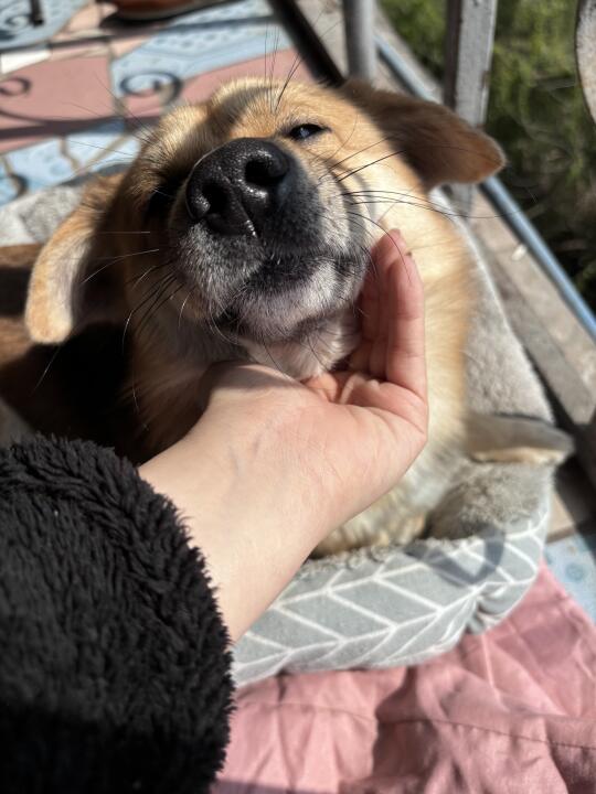 久违的太阳天！