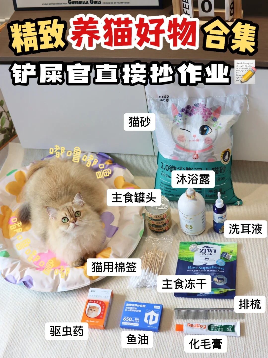 精致养猫好物合集，铲屎官直接抄作业