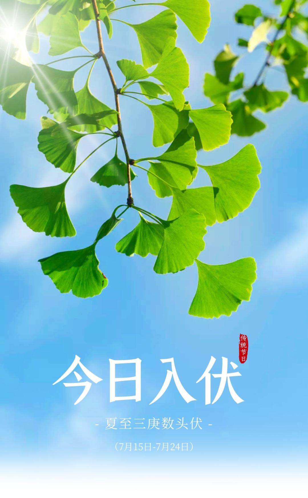 今天入伏了，亲爱的朋友们，这个夏天，愿您：“清凉不离左右，美好幸福无忧，三伏有清