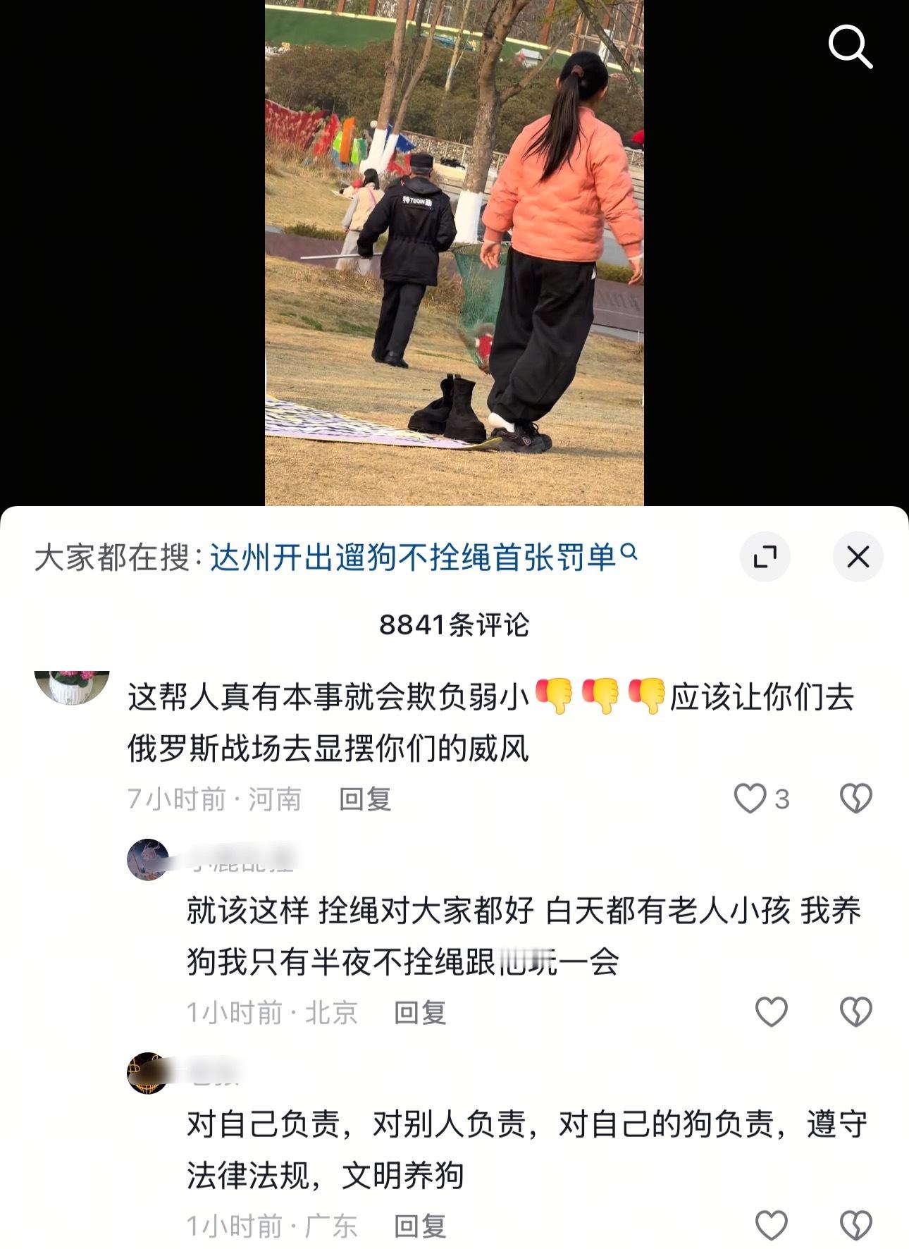 在公共场合处理遛狗不牵绳，使用抄网应该已经是比较温和的处理方式了 