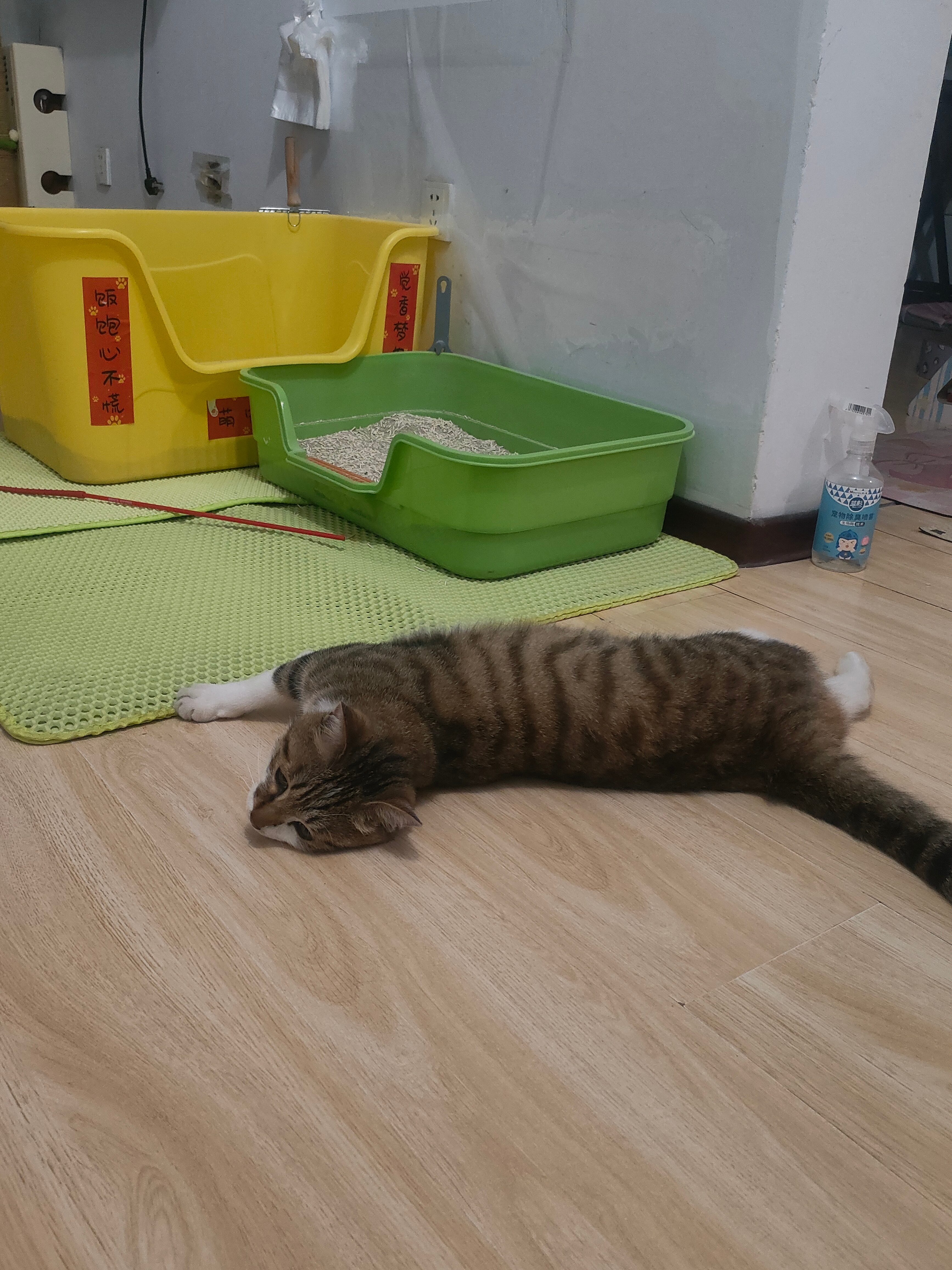 咪：累瘫版 