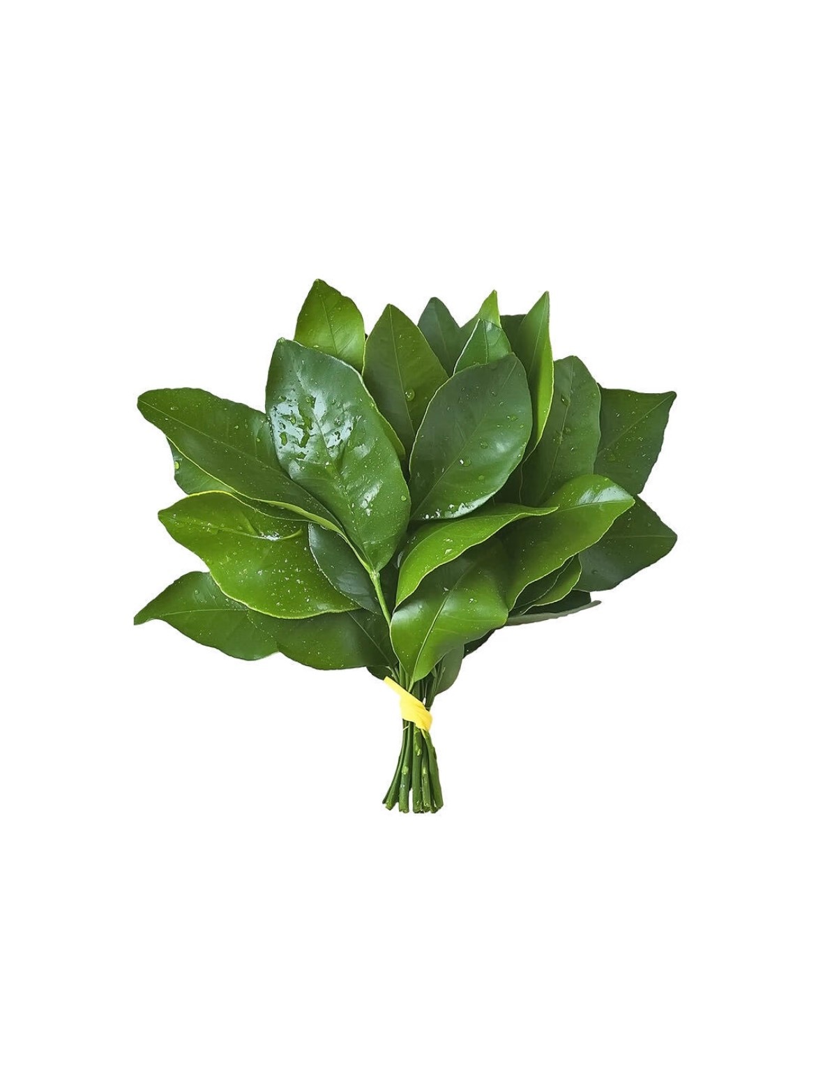分享图片 