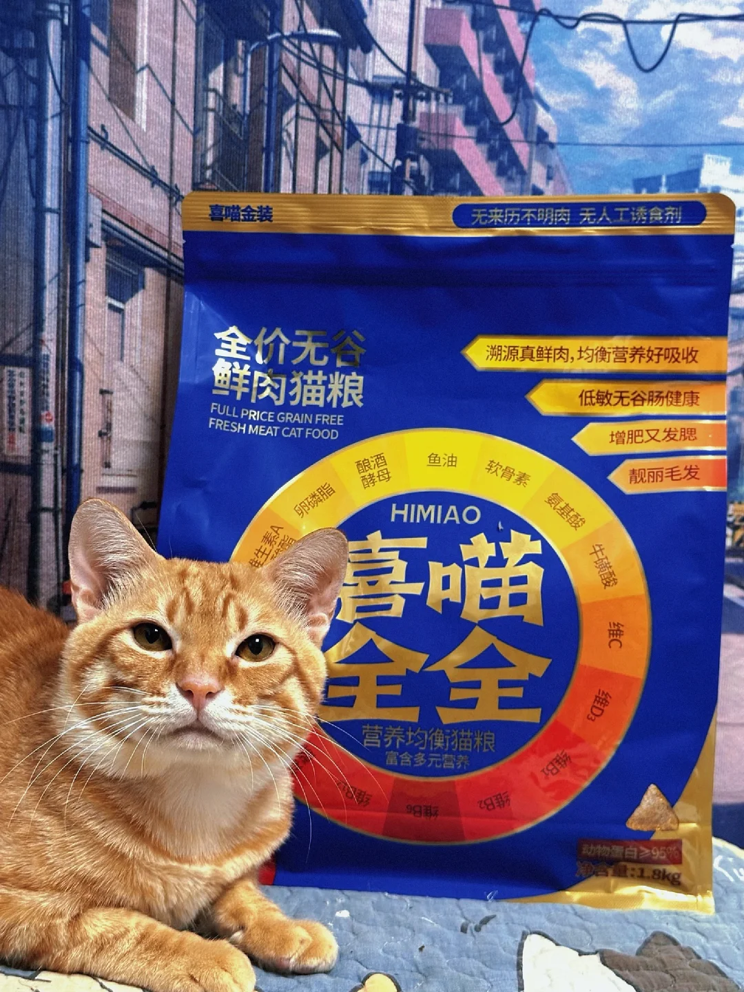 小猫咪的理想大餐