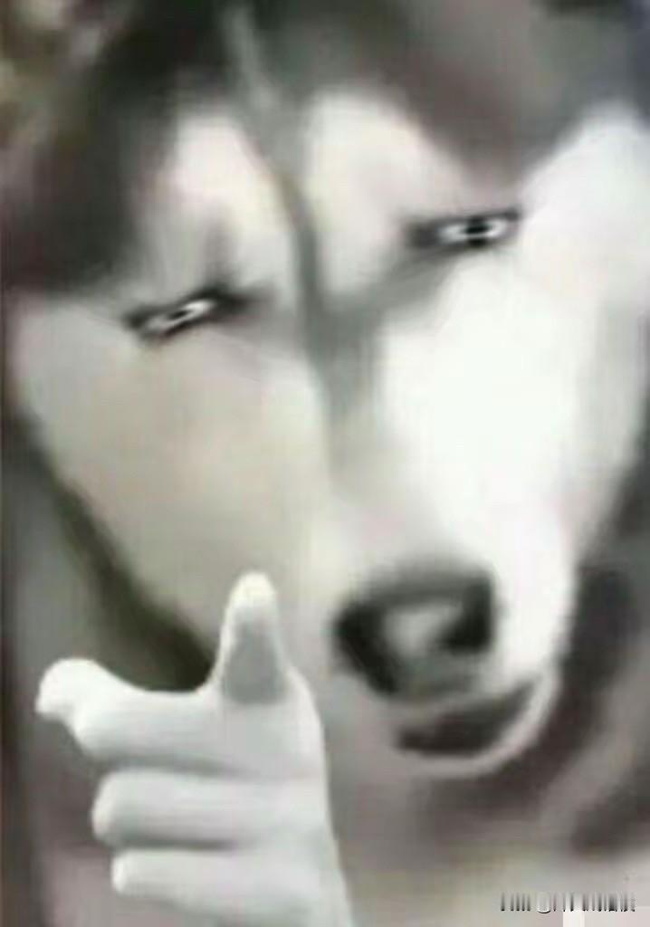 美军两架军机在南海接连坠毁

哈哈，看到这个新闻我可太震惊了

美军军机？两架？