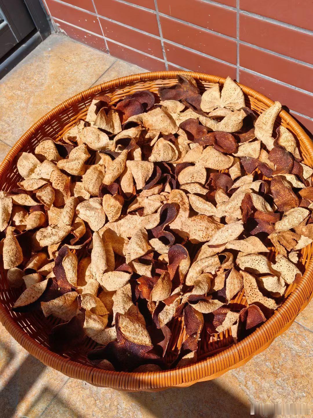 阳光灿烂的一天，温差有10度，到了老广一年最舒服的季节，阳光灿烂，湿度小，适合晒