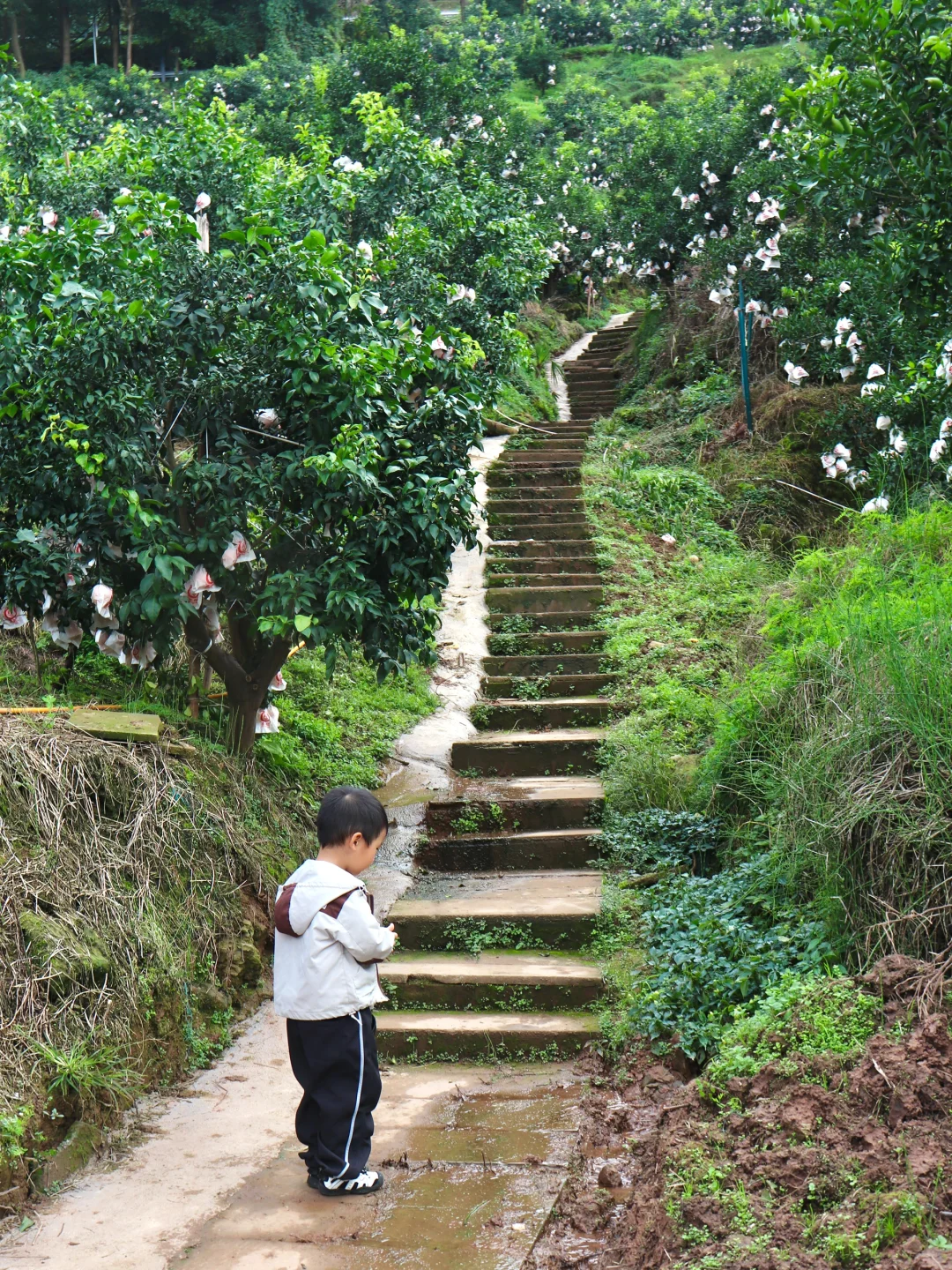 成都南门1h，新晋轻徒步路线，99%的人不知道