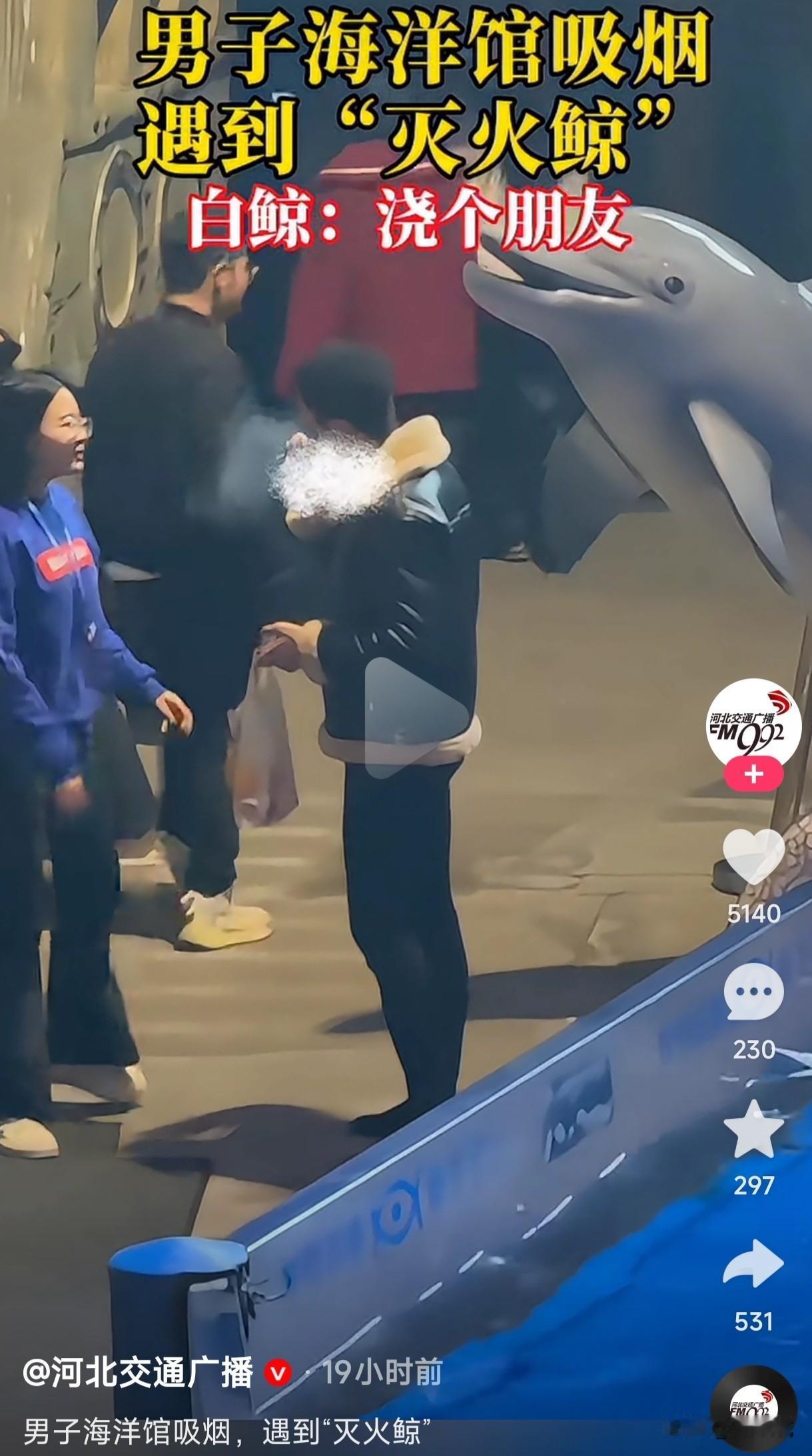 男子在海洋馆吸烟，工作人员上前劝阻后仍无动于衷，没想到接下来遇到白鲸突然浮出水面
