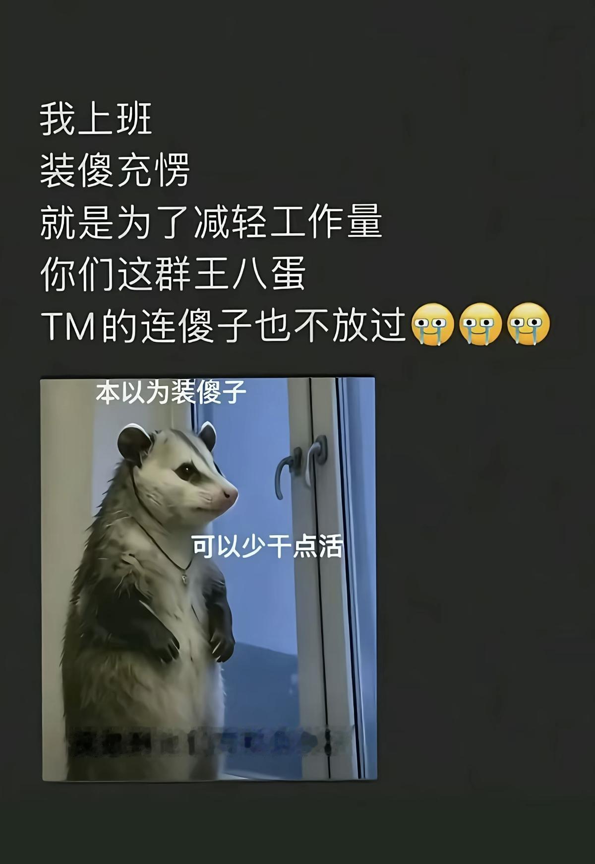 装傻充愣就为了减轻工作量！
谁能想到，万恶的资本家连傻子也不放过[流泪]
