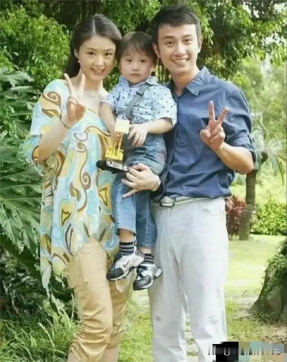 蒋欣，容颜绝美，身形高挑，微胖却独具魅力。她所演绎的木婉清，更是令人难以忘怀。若