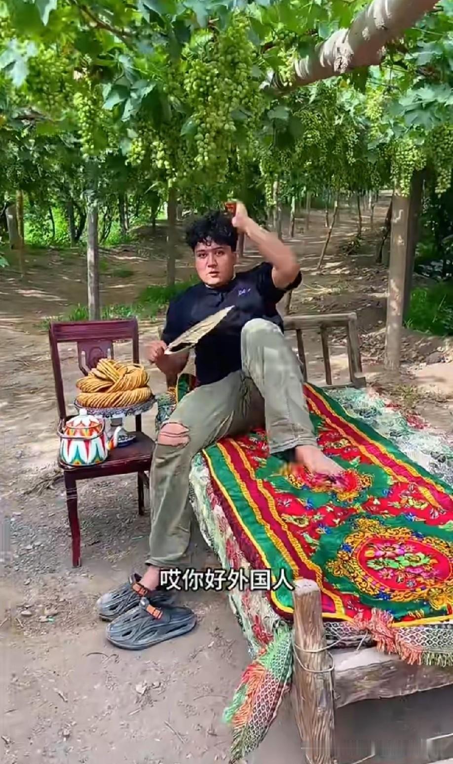 睡在葡萄架子下，抬头就能吃到，爽[赞]