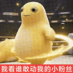 谁敢动我小粉丝 