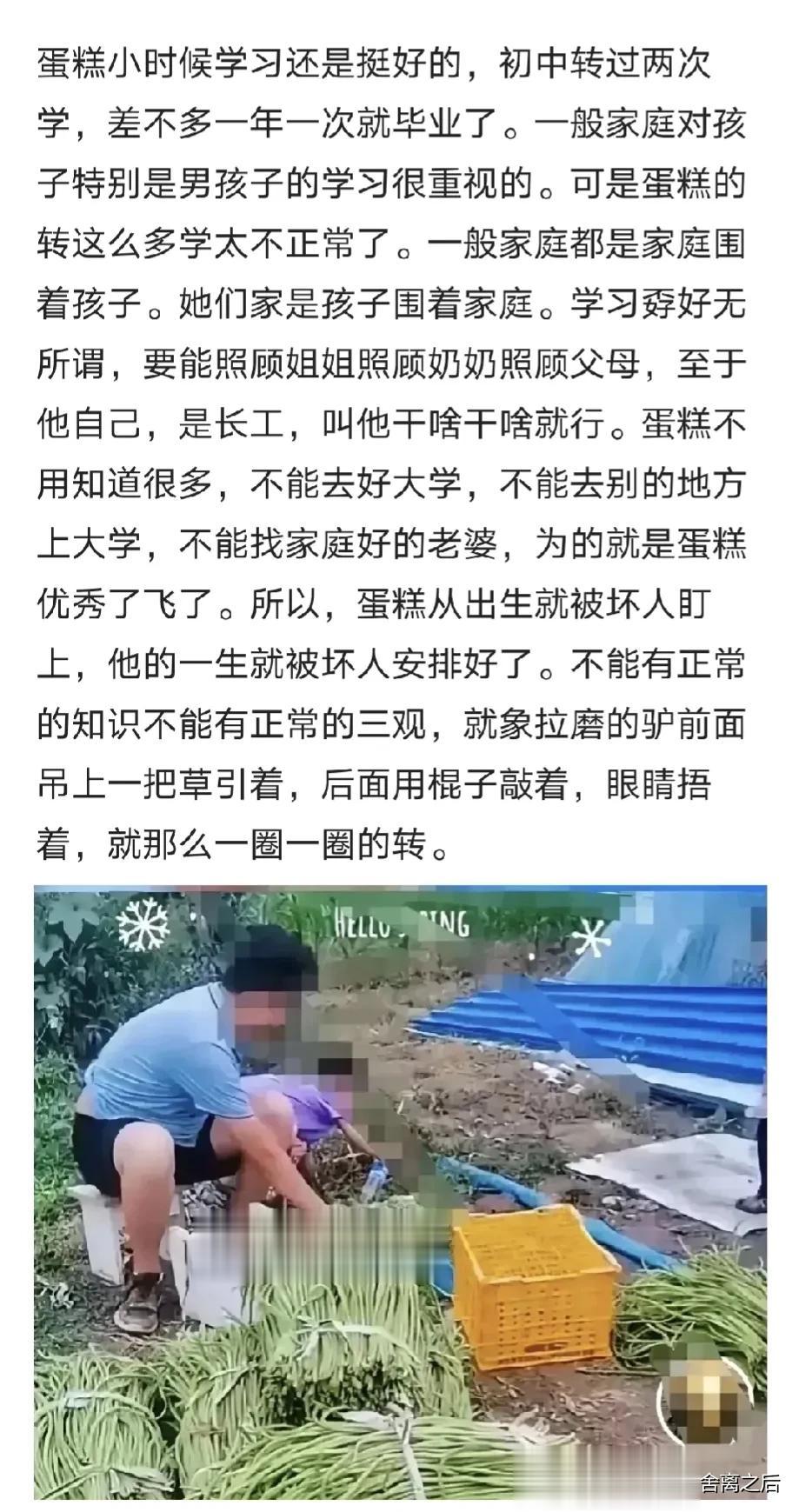 可怜又可悲的V。他本该有属于他的美好灿烂的似锦人生，可是被28年前的T换而逆转了