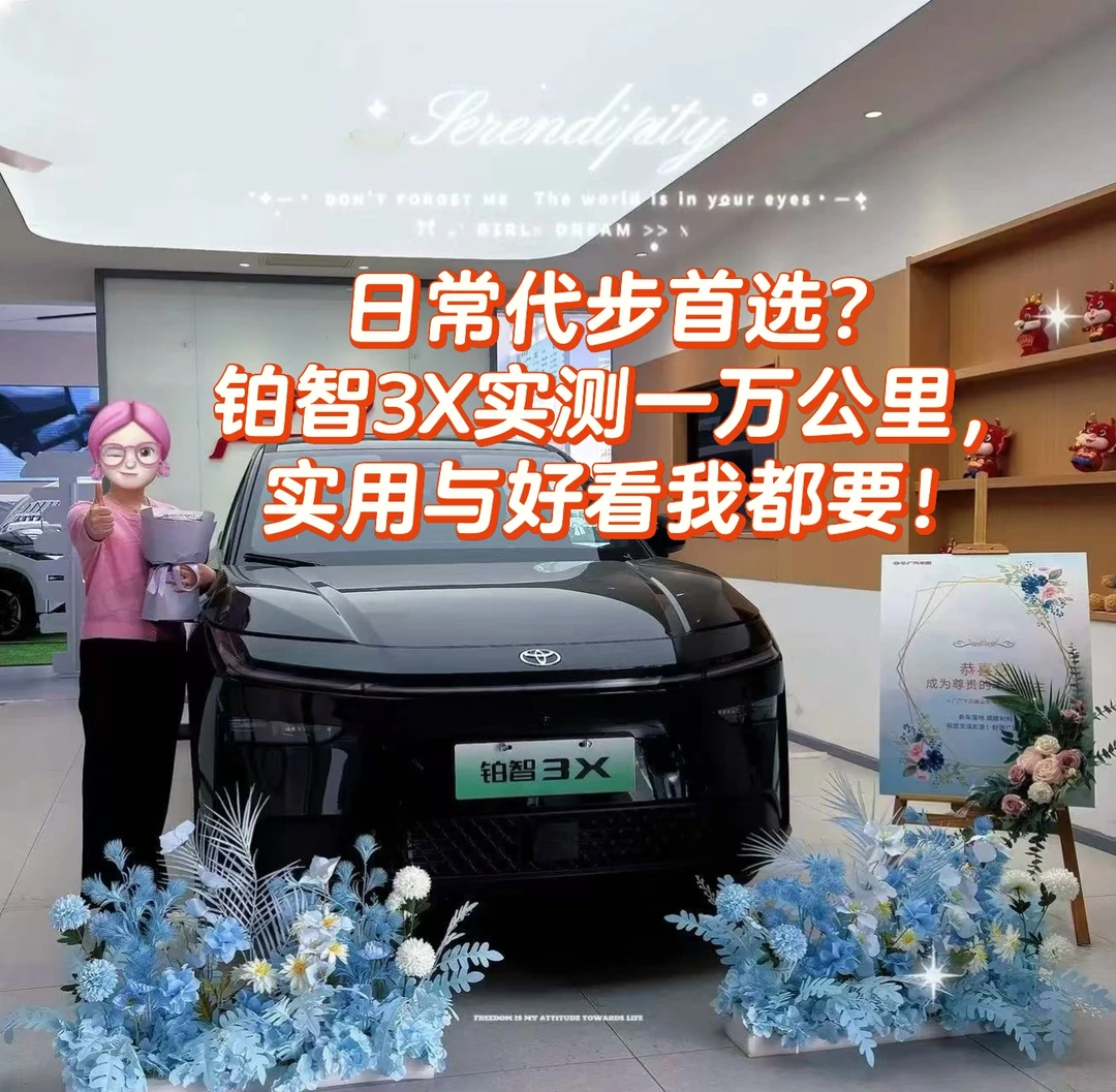 日常代步首选？铂智3X实测一万公里，实用与