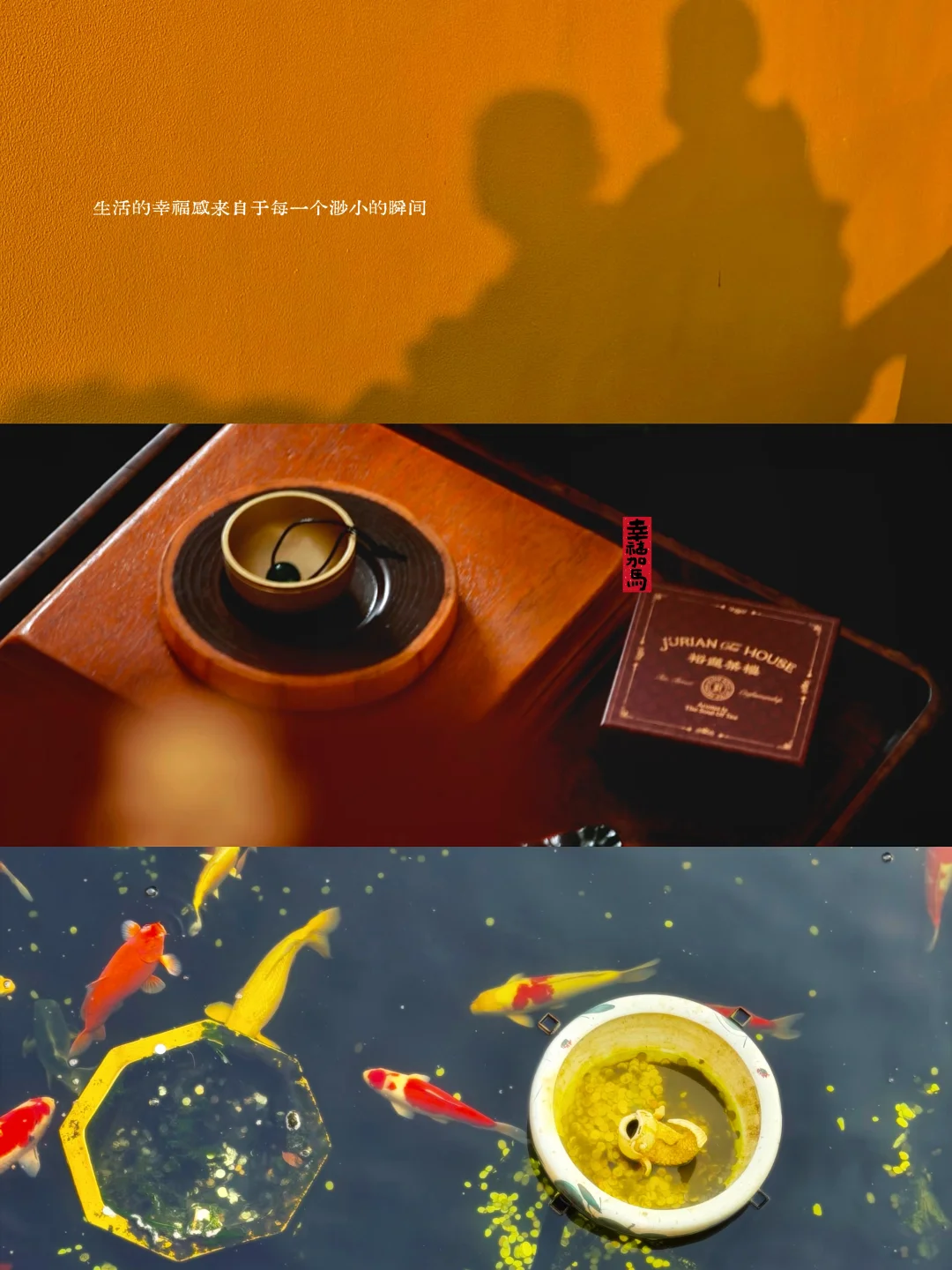 祝来年春山昂首，为自己筹谋