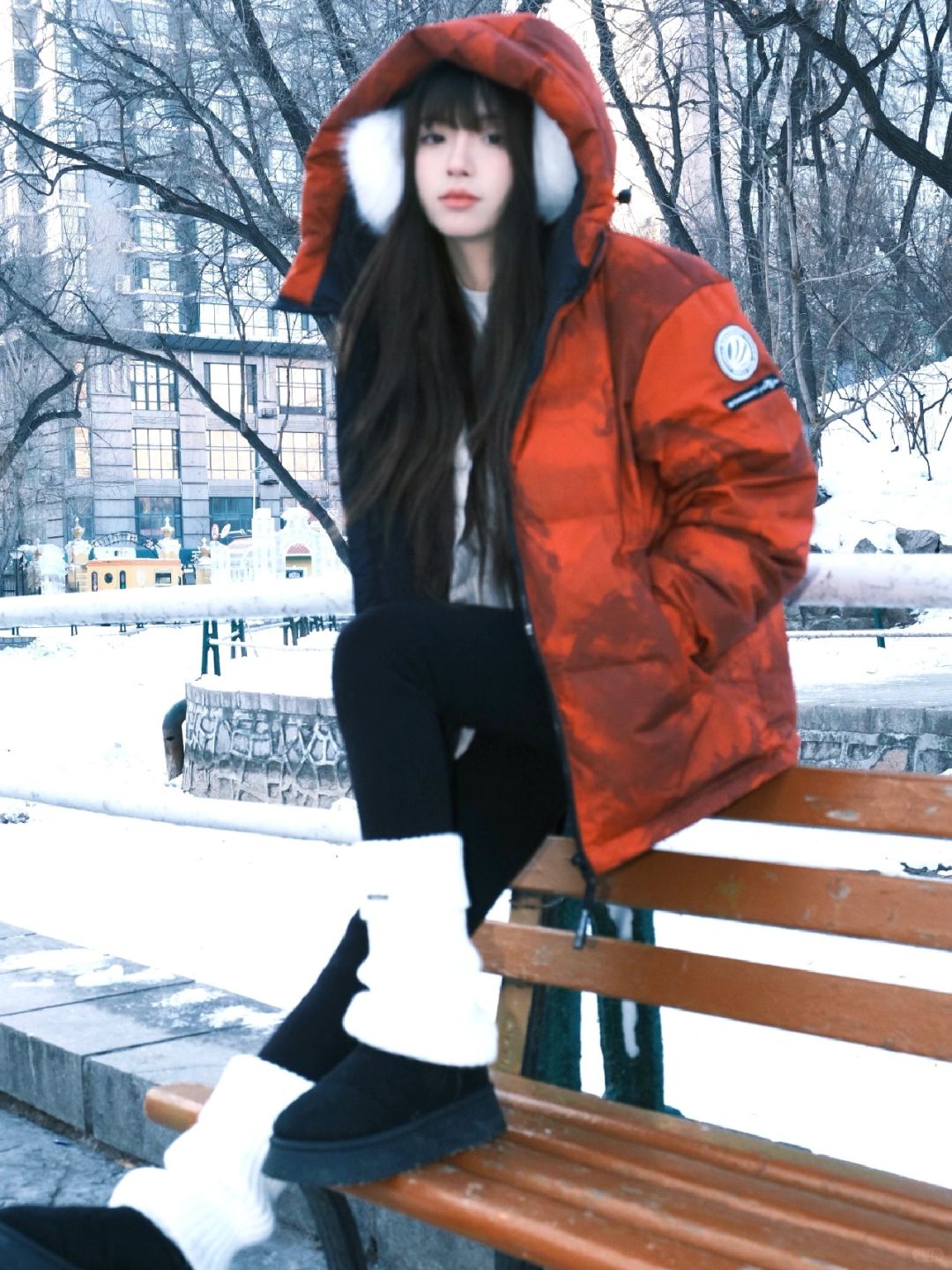 雪地里的一抹红