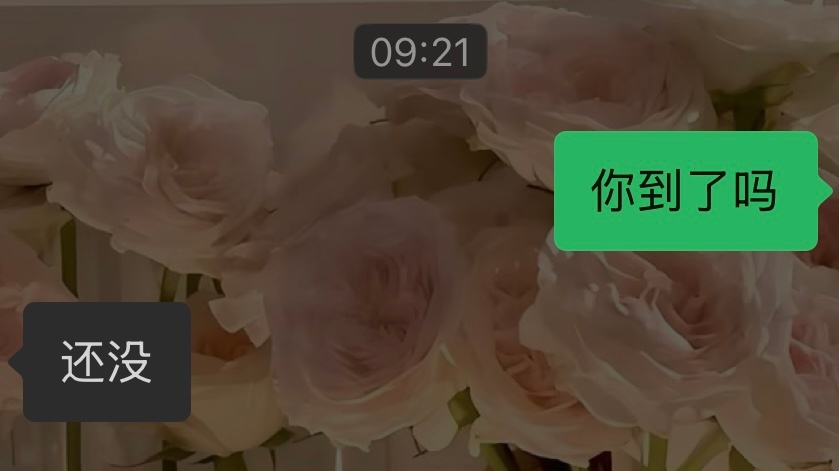安踏樊振东系列我就这样让烙饼帮我买到了