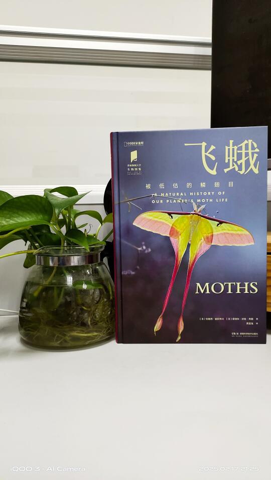 被低估的鳞翅目：飞蛾