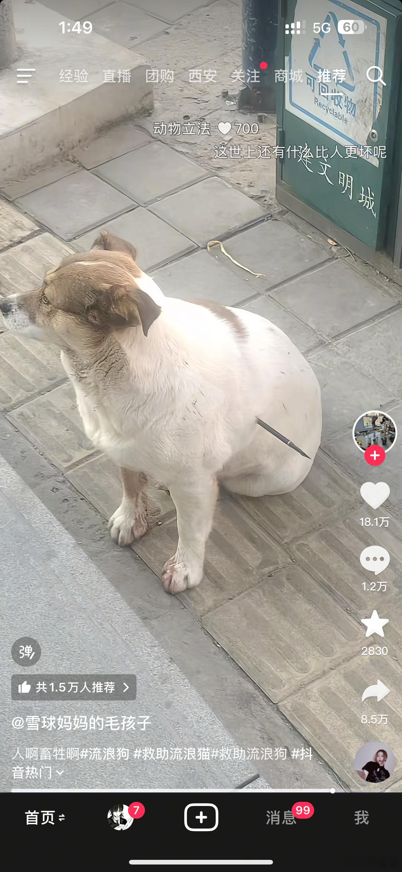 我难受我不得劲我不舒服 