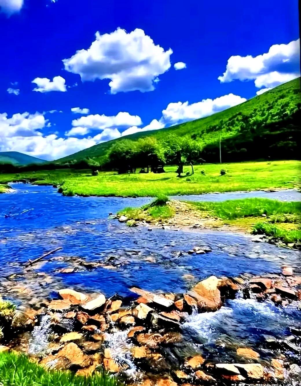 40℃的高温天，把你扔进蒸笼里再泼盆热水是啥感觉？
济南一位硬核大叔受够了这罪，