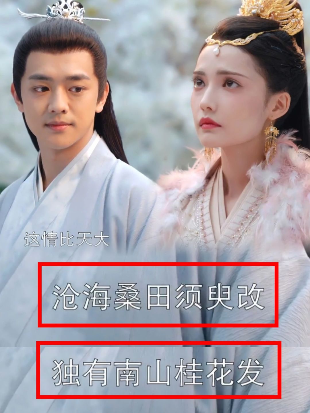 用这个去表白也太深情了吧❗