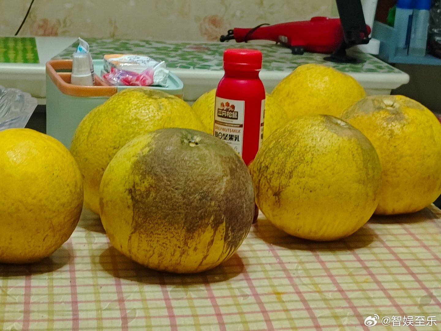 刚进围城乡愁绕，春村出色万般好。遥寄相思于明月，惟愿天人永不老。