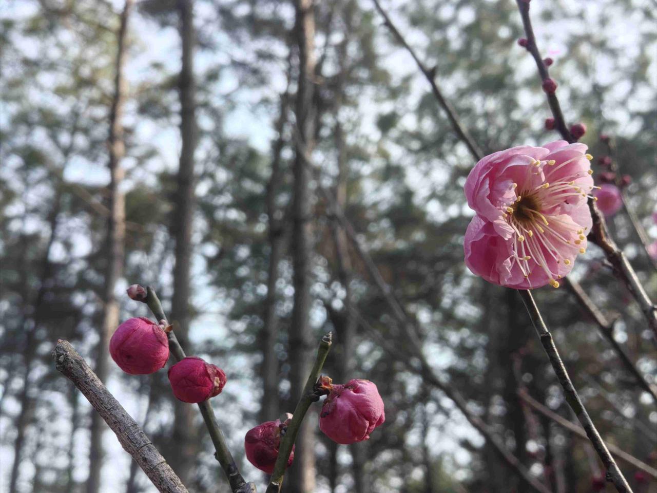 我有个发小琴琴，19岁时爱上了一个比她大19岁的男人阿纲，不管父母亲朋反对，就住