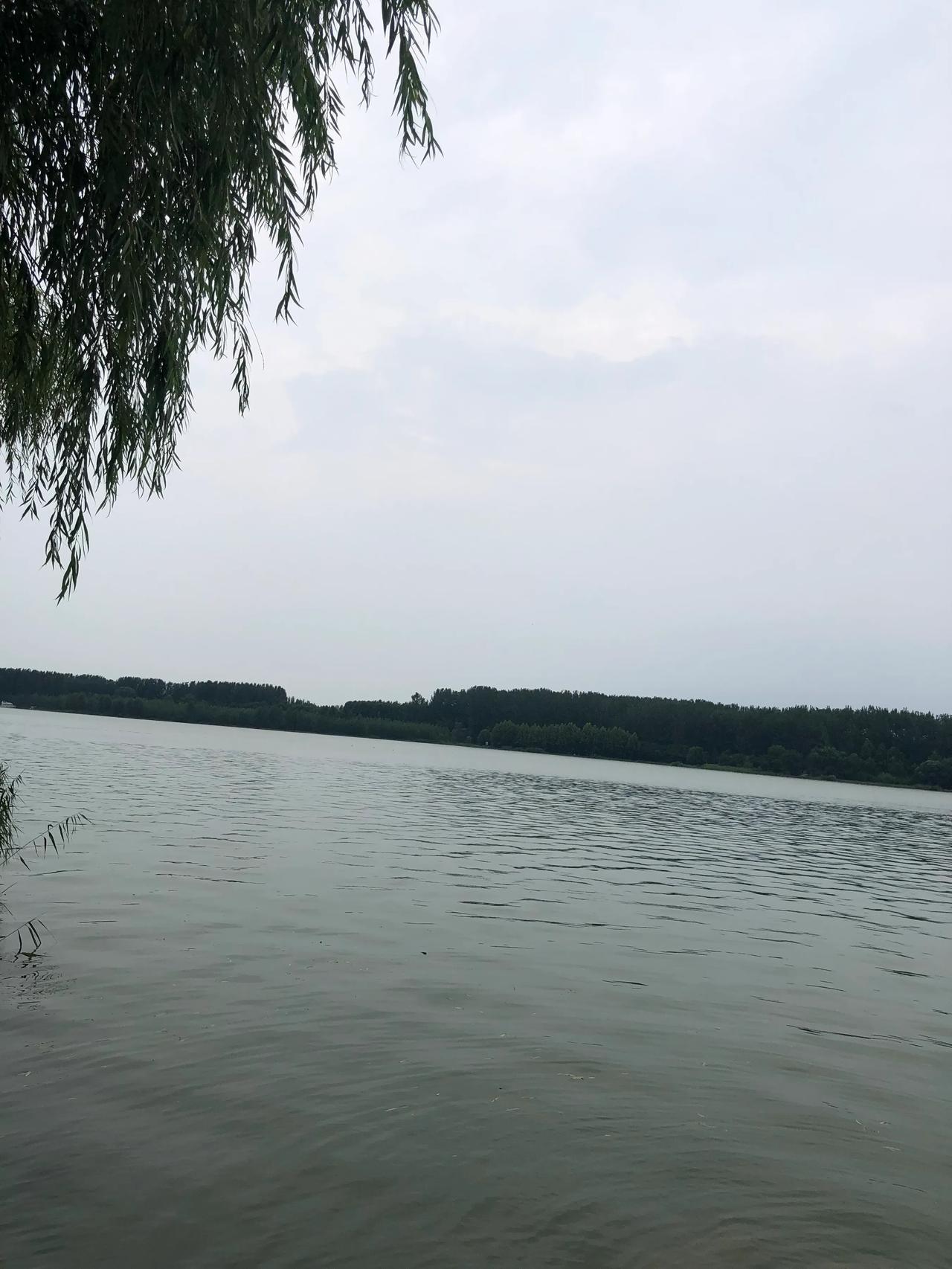 今日天气晴好
-3～9度
阳光明媚
中午需要解开羽绒服的帽子
彻底暖和了
今年的