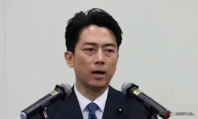 偷鸡不成蚀把米，日本给自己挖了一个大坑
​小泉进次郎如今处境十分尴尬，日本官方高