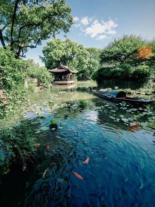 课本里的场景终于不用花钱打卡！绍兴鲁迅故里全程免费，提前预约就能逛。三味书屋、百